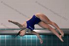 Women's Diving  Wheaton College Women’s Diving vs Mount Holyoke College. - Photo by Keith Nordstrom : Wheaton, Swimming & Diving